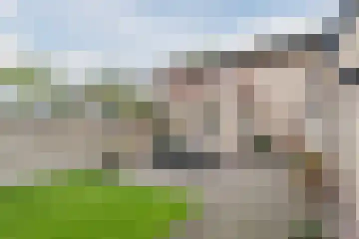 Boegent 74 Reusel thumbnail 36