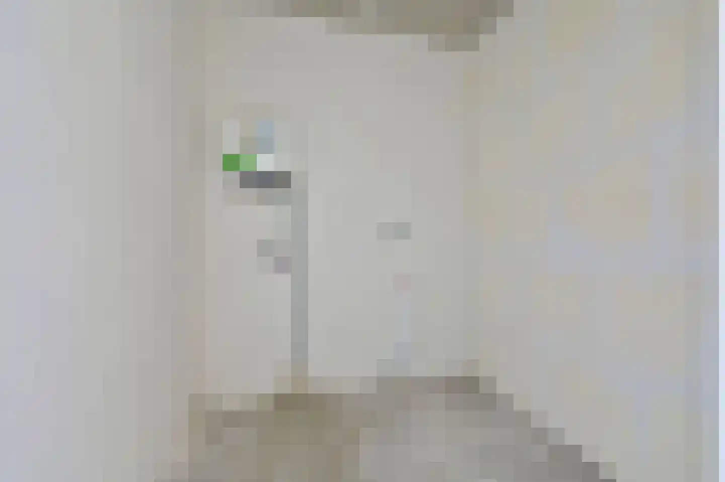 Boeghof 6 Leimuiden thumbnail 32