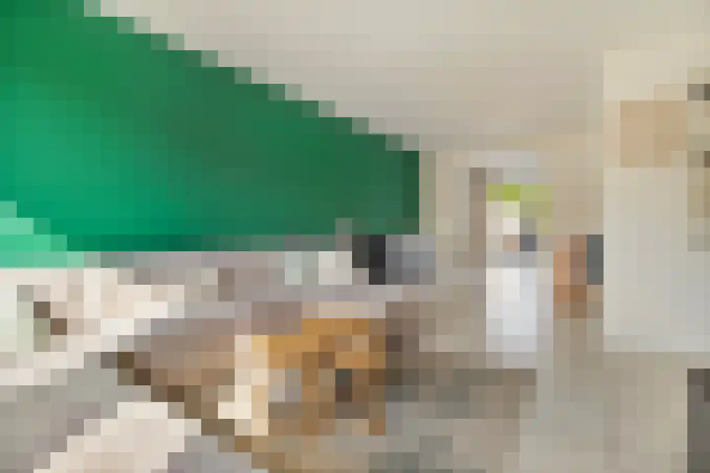 Boegspriet 11 Maasbracht thumbnail 18