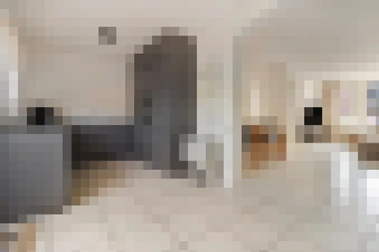 Boegspriet 11 Maasbracht thumbnail 22