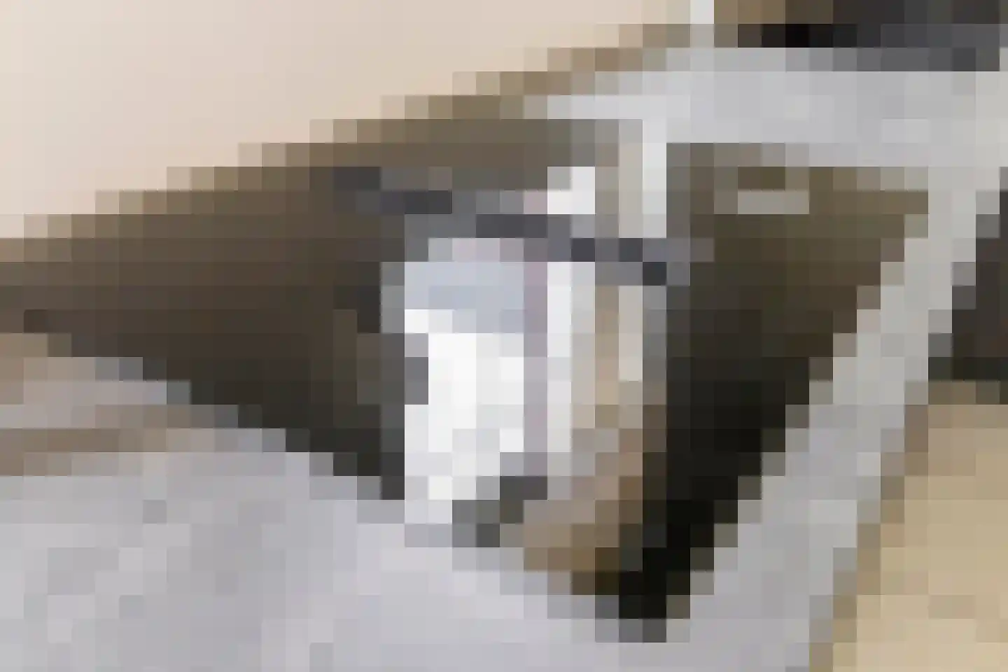 Boegspriet 11 Maasbracht thumbnail 25