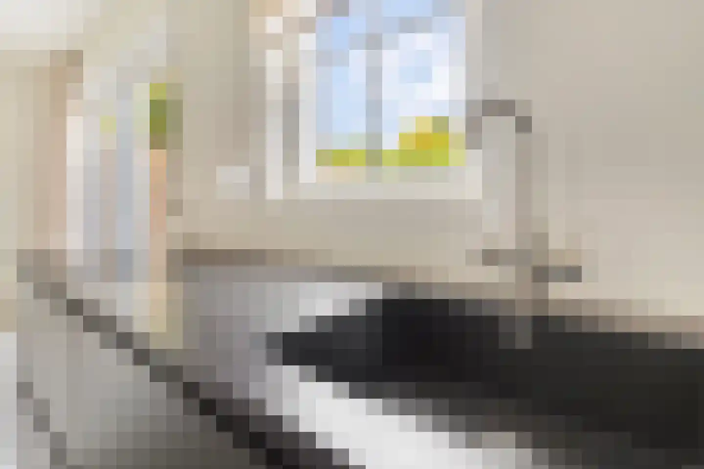 Boegspriet 11 Maasbracht thumbnail 26