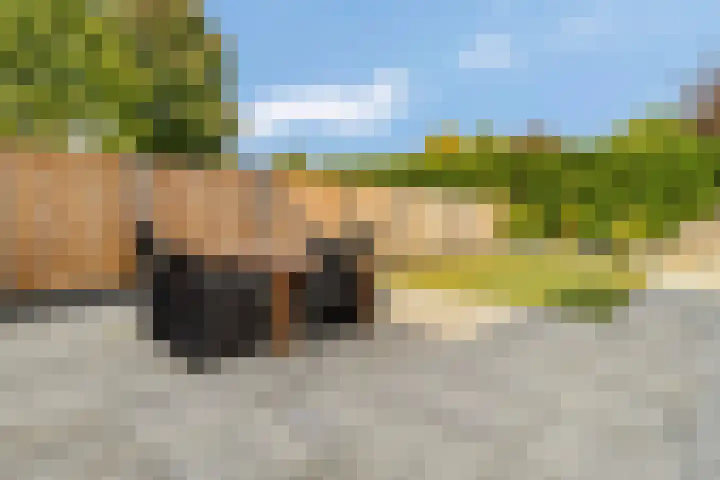 Boegspriet 11 Maasbracht thumbnail 27