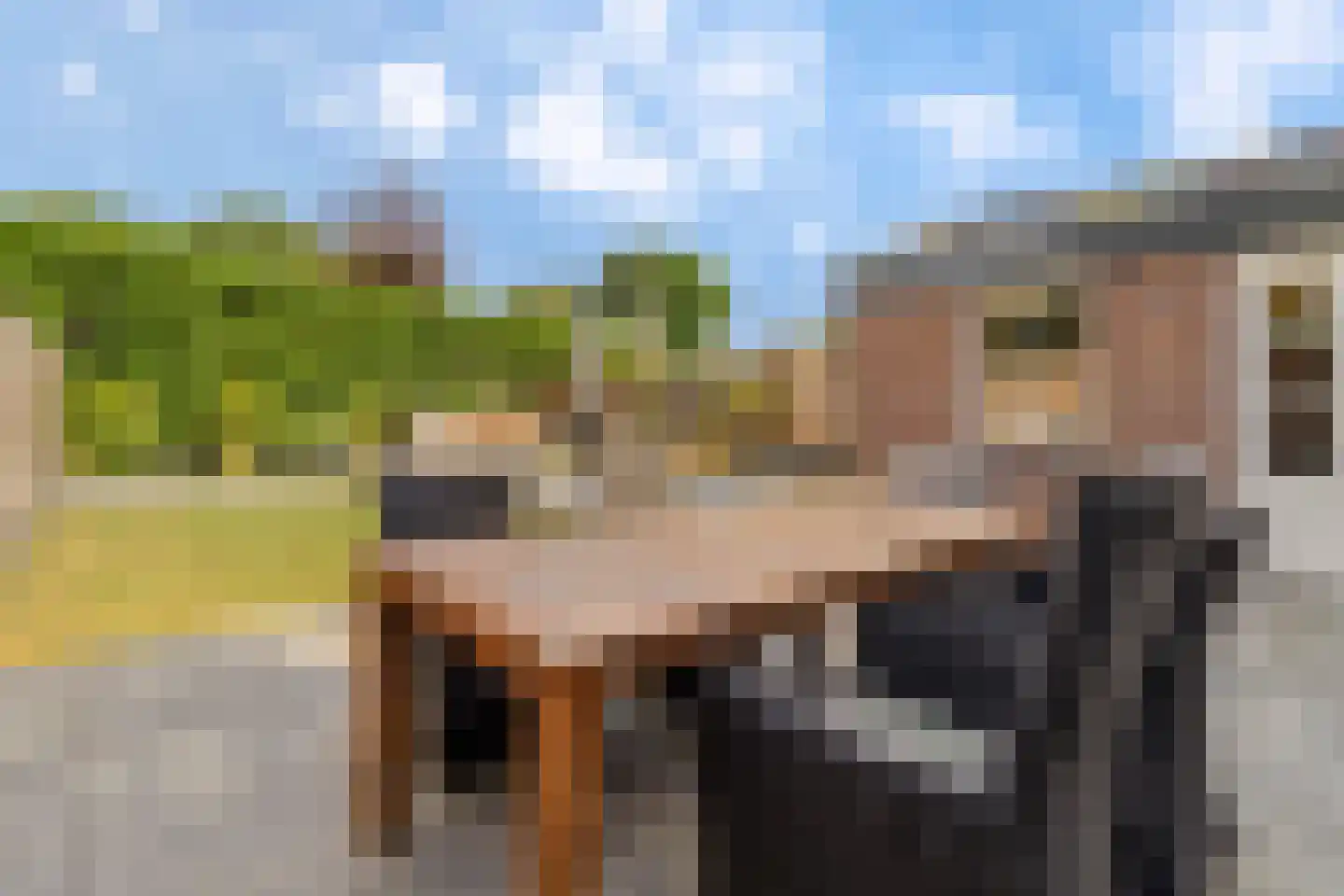 Boegspriet 11 Maasbracht thumbnail 28