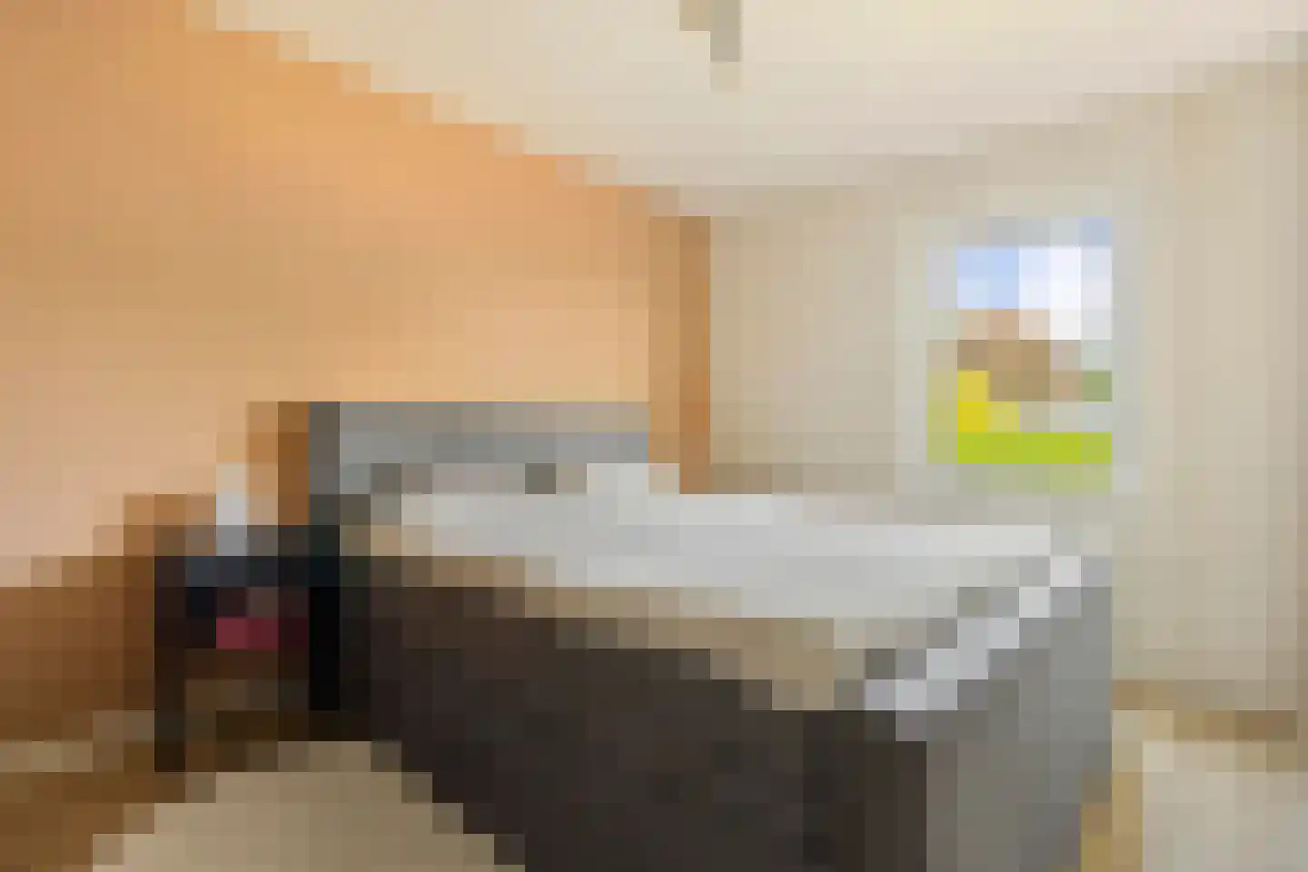 Boegspriet 11 Maasbracht thumbnail 32