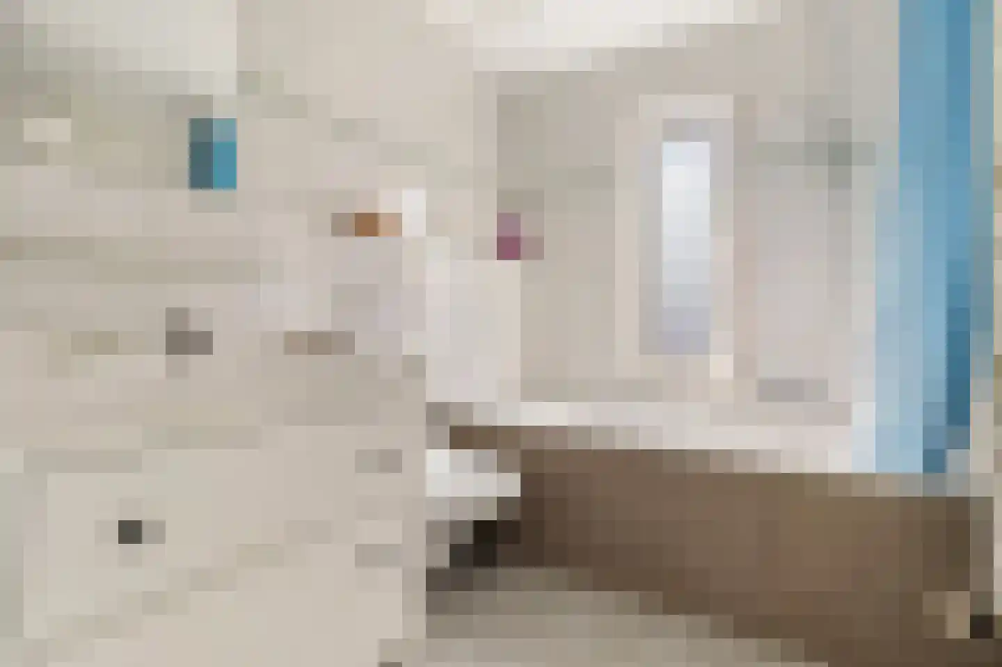 Boegspriet 11 Maasbracht thumbnail 35