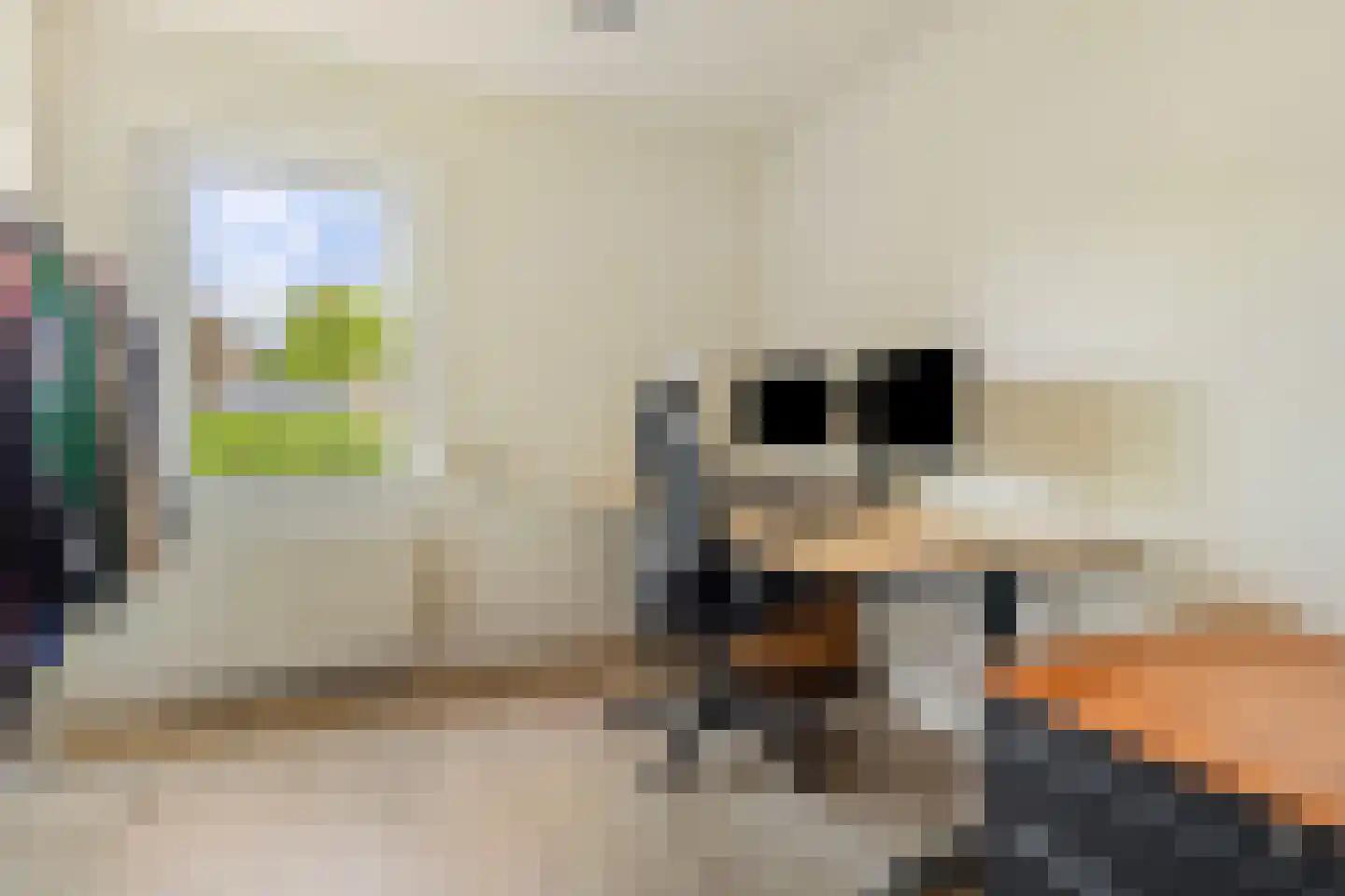 Boegspriet 11 Maasbracht thumbnail 40