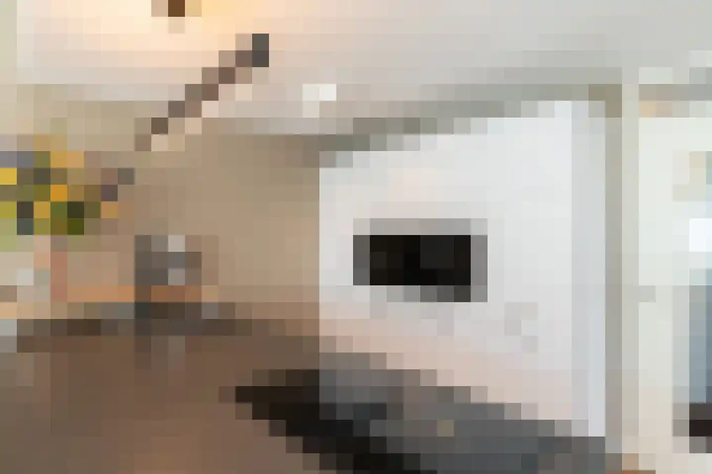 Boegspriet 11 Papendrecht thumbnail 15