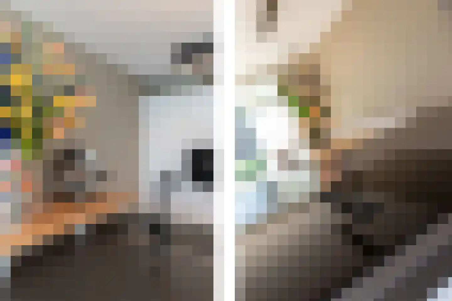 Boegspriet 11 Papendrecht thumbnail 16