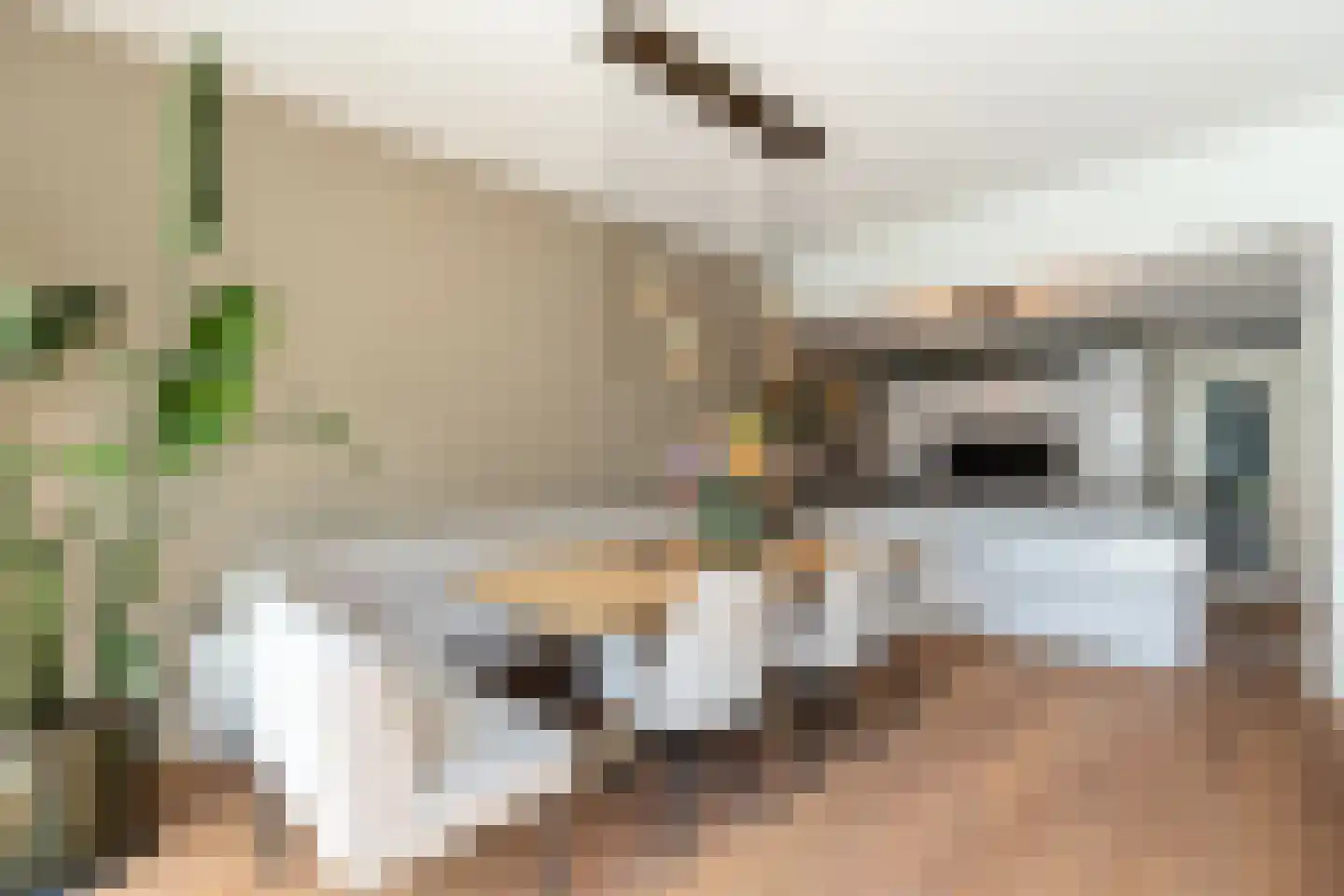 Boegspriet 11 Papendrecht thumbnail 19