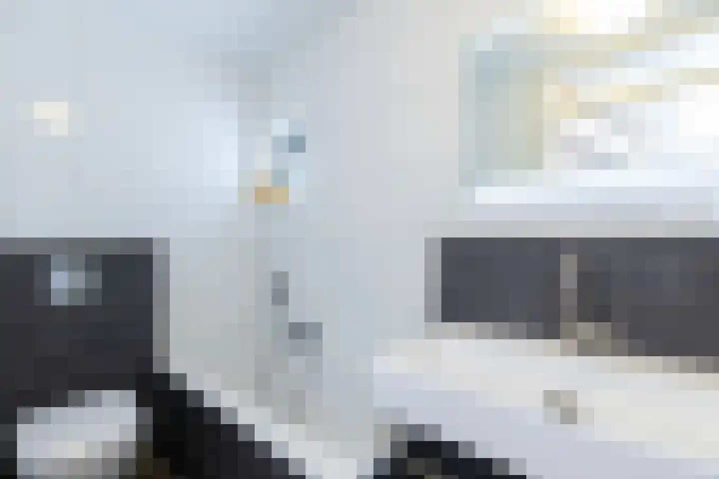 Boegspriet 11 Papendrecht thumbnail 34