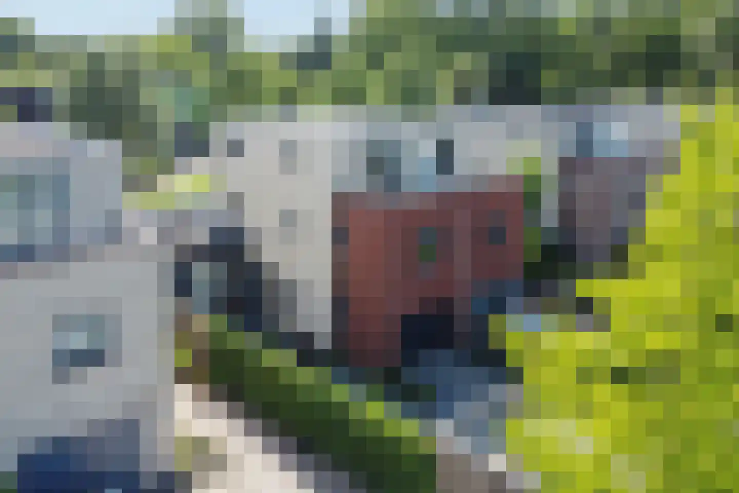 Boegspriet 11 Papendrecht thumbnail 50