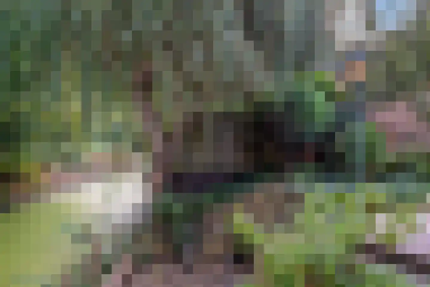 Boegspriet 11 Veenendaal thumbnail 32