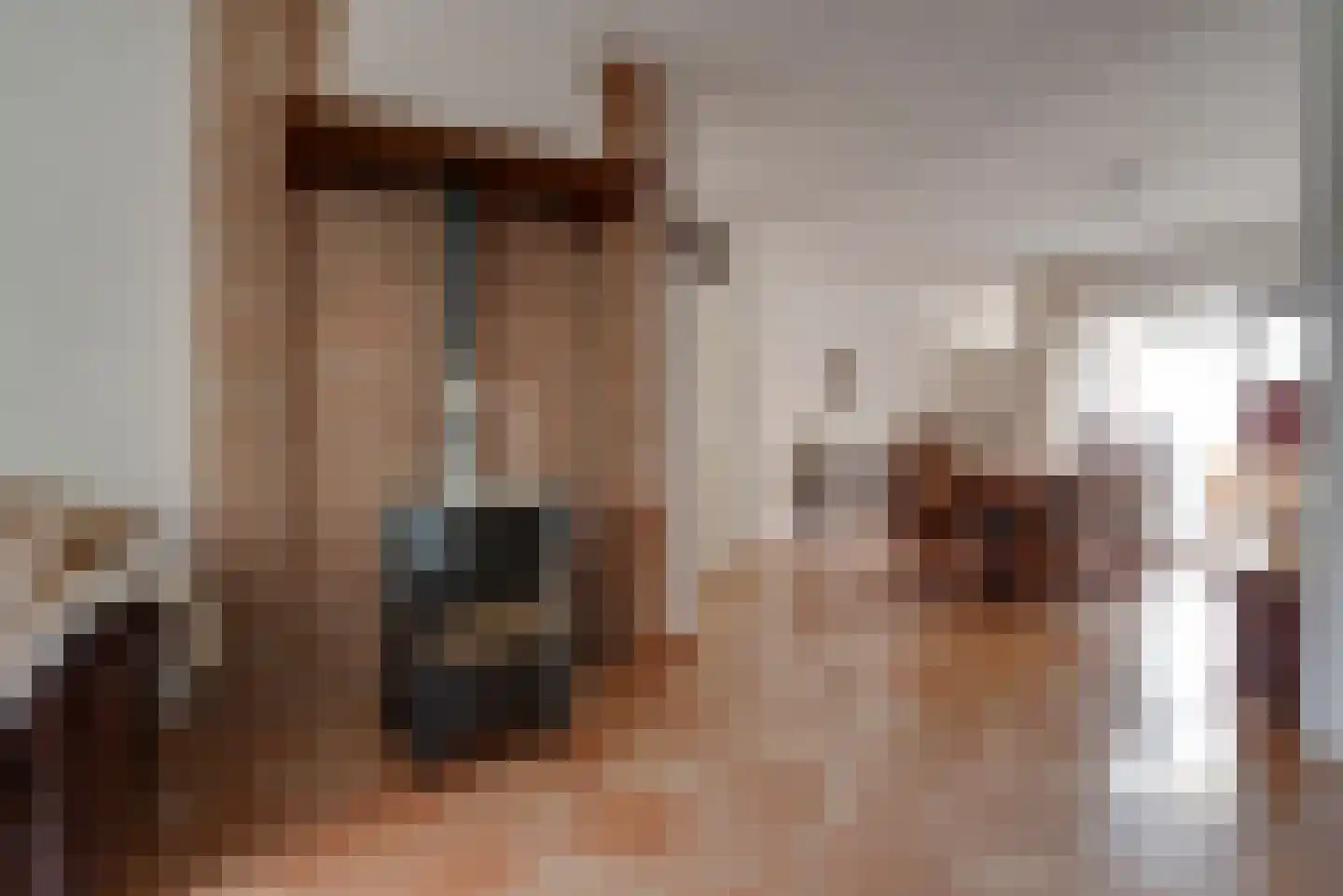 Boegspriet 11 Veenendaal thumbnail 8