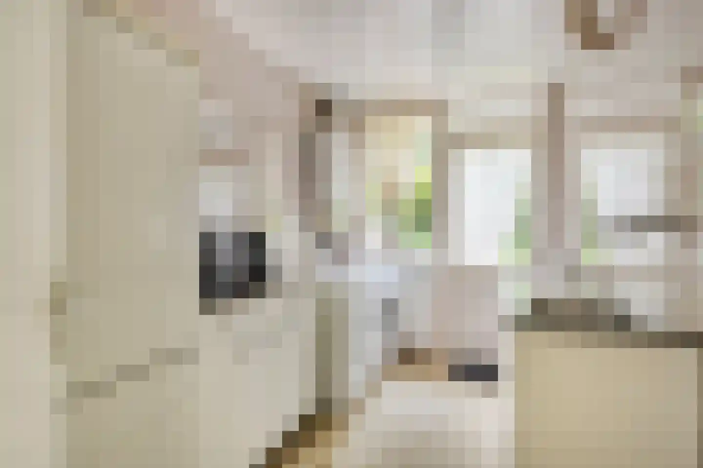 Boegspriet 15 Veenendaal thumbnail 19