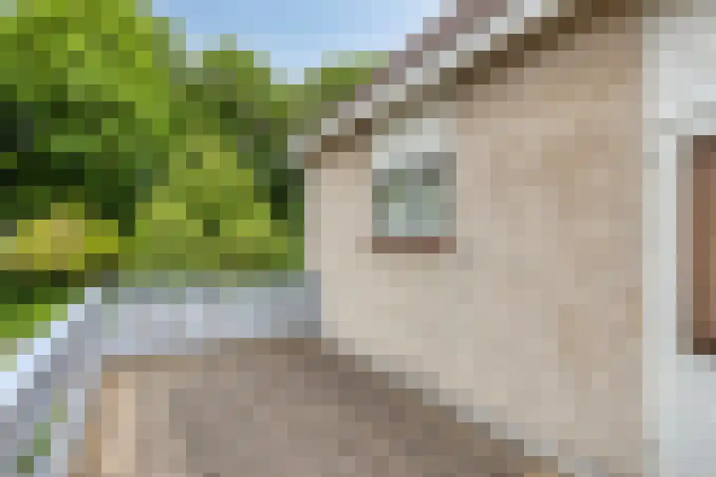 Boegspriet 15 Veenendaal thumbnail 34