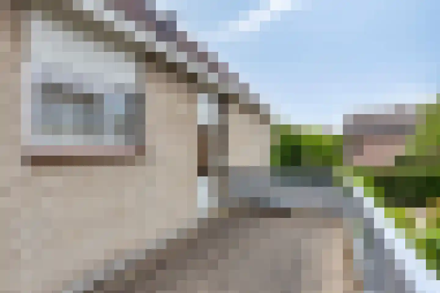 Boegspriet 15 Veenendaal thumbnail 35