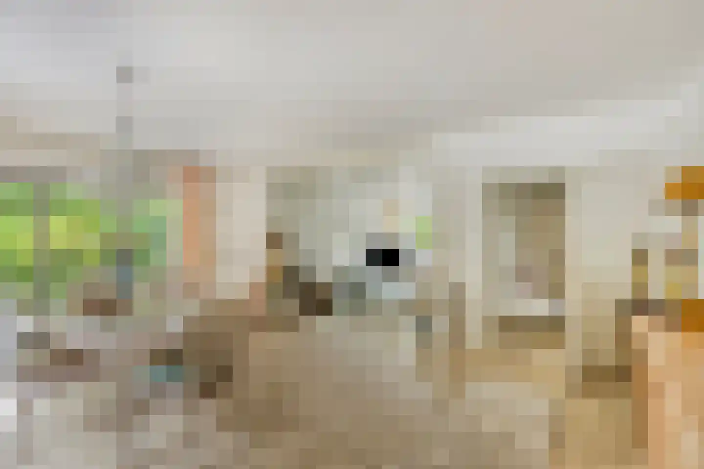 Boegspriet 15 Veenendaal thumbnail 4