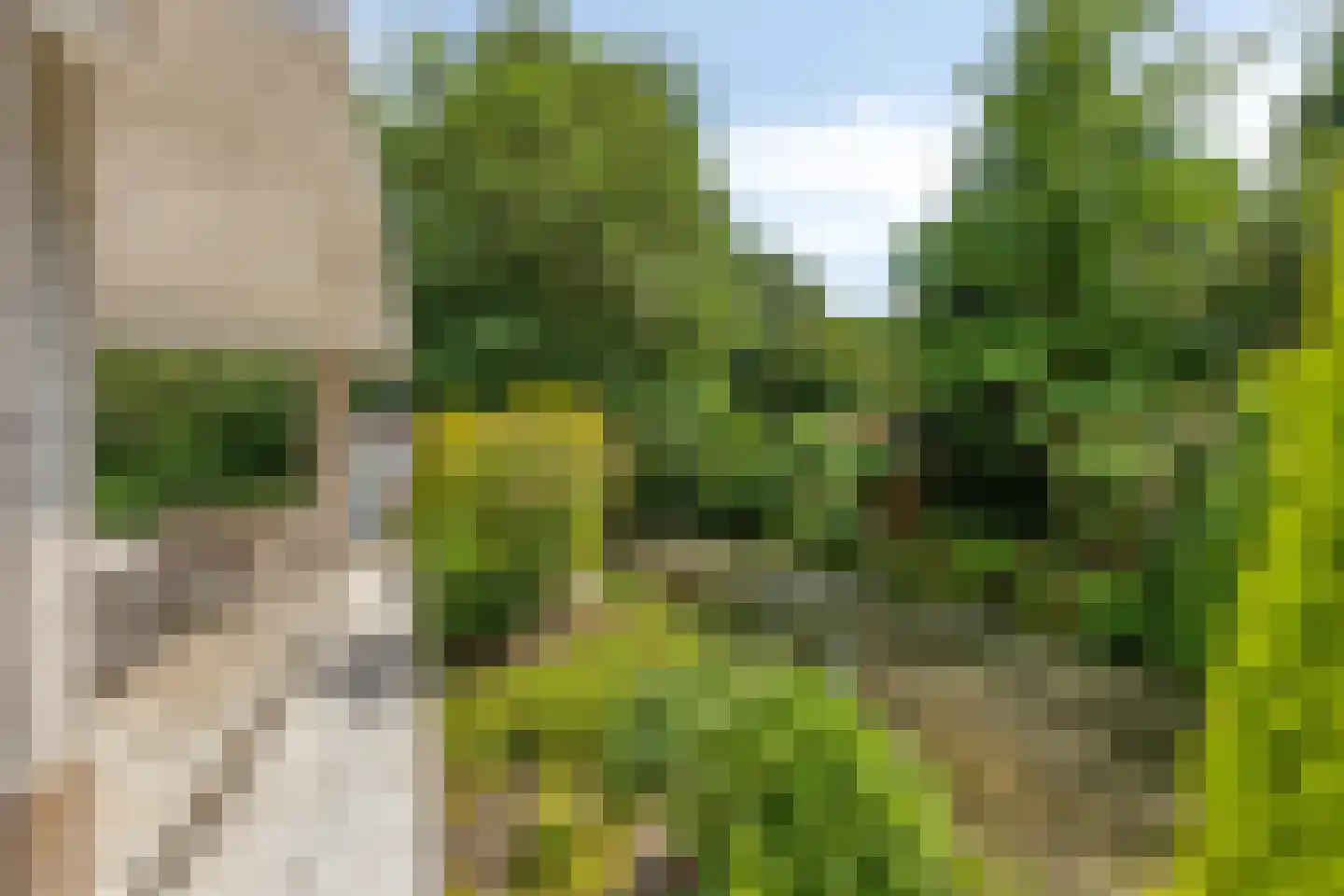 Boegspriet 15 Veenendaal thumbnail 45