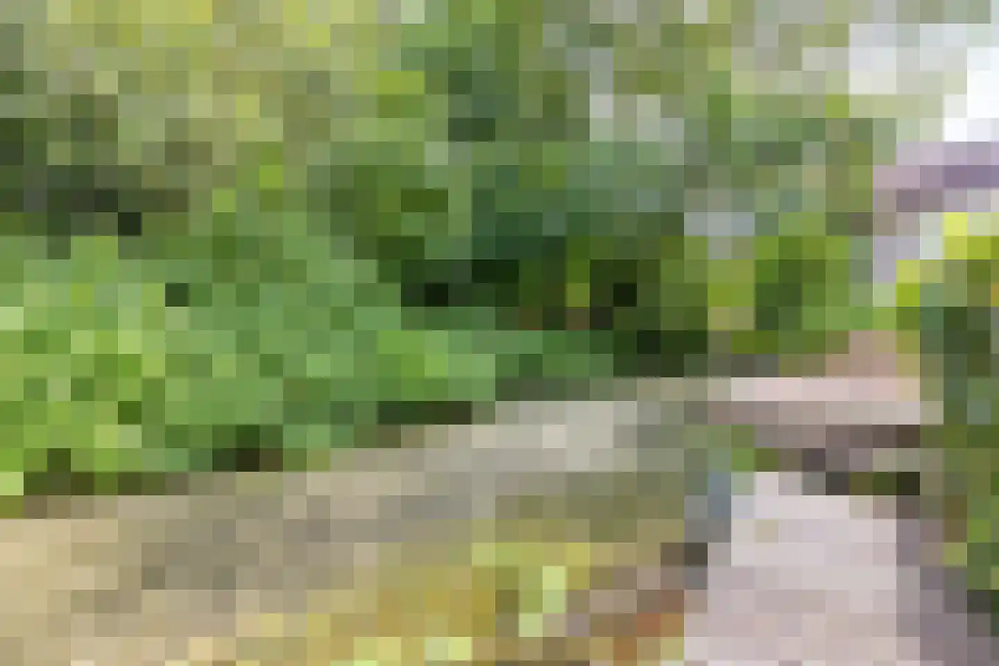 Boegspriet 15 Veenendaal thumbnail 49