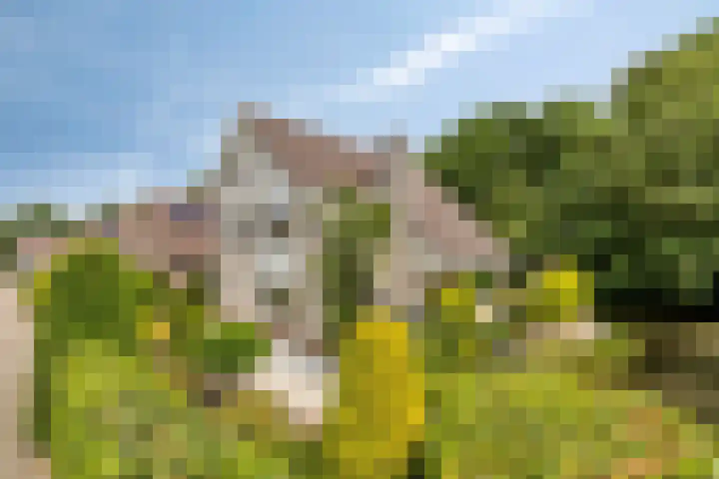 Boegspriet 15 Veenendaal thumbnail 52