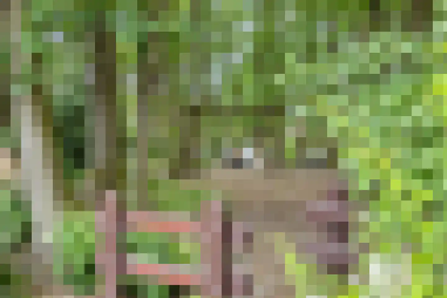 Boegspriet 15 Veenendaal thumbnail 53