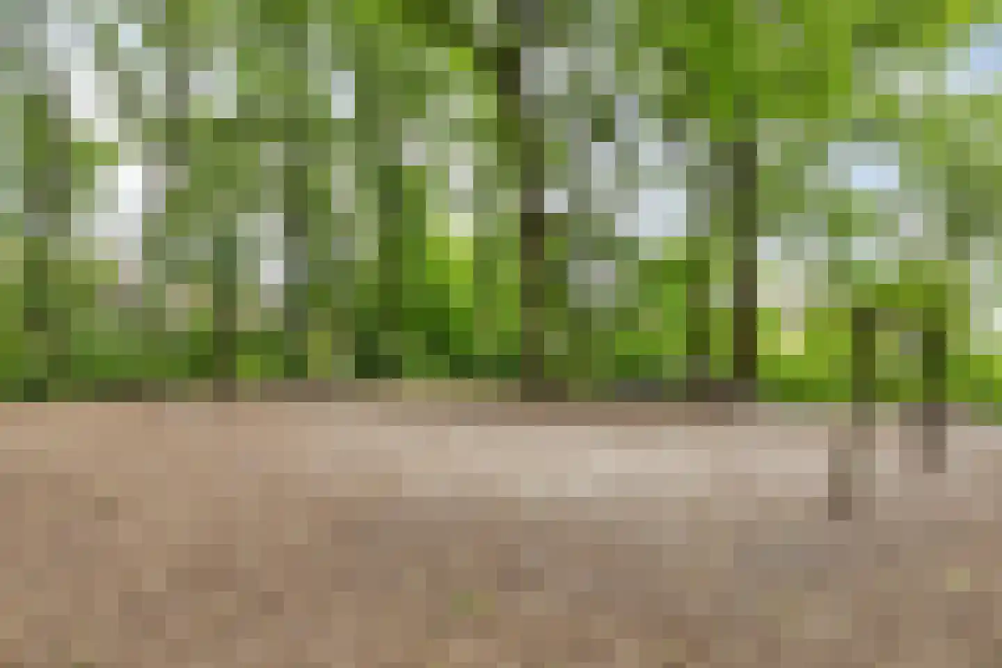 Boegspriet 15 Veenendaal thumbnail 54