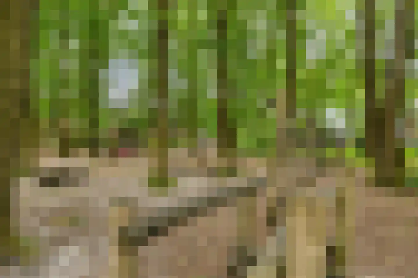 Boegspriet 15 Veenendaal thumbnail 55