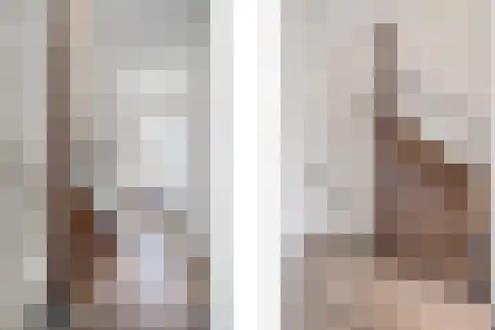 Boegspriet 19 Maasbracht thumbnail 13