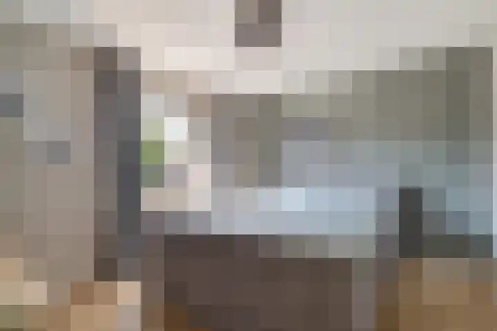 Boegspriet 19 Maasbracht thumbnail 14
