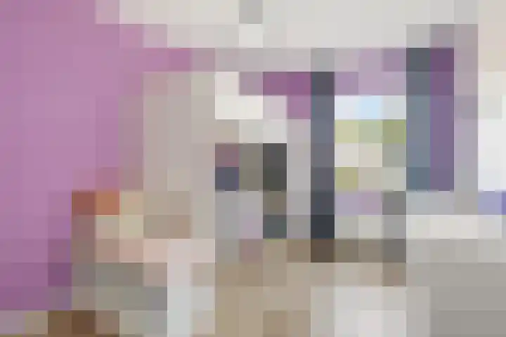 Boegspriet 19 Maasbracht thumbnail 16