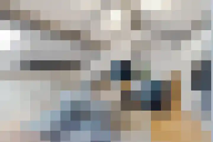 Boegspriet 19 Maasbracht thumbnail 22