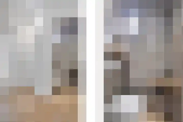 Boegspriet 19 Maasbracht thumbnail 5