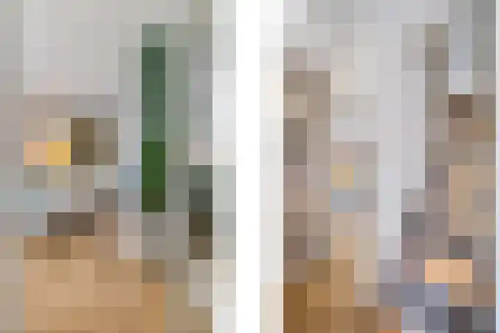 Boegspriet 19 Maasbracht thumbnail 6