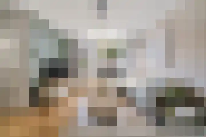 Boegspriet 19 Maasbracht thumbnail 7