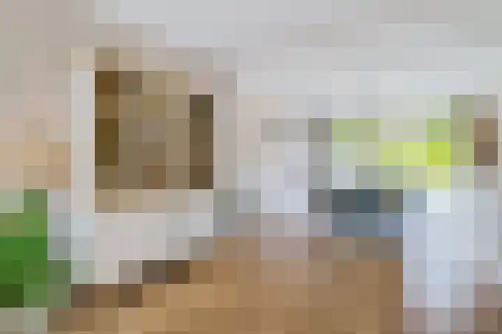 Boegspriet 19 Maasbracht thumbnail 8