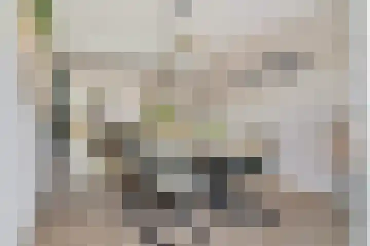 Boegspriet 19 Maasbracht thumbnail 9
