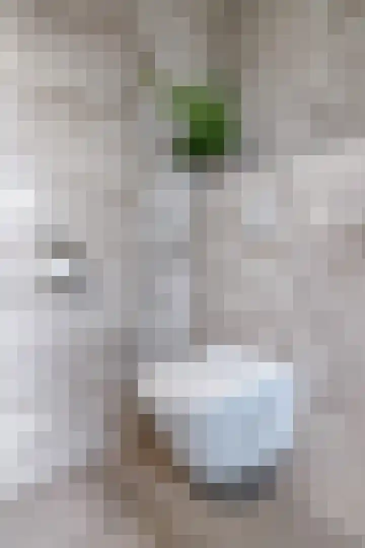 Boegspriet 2 Veenendaal thumbnail 25