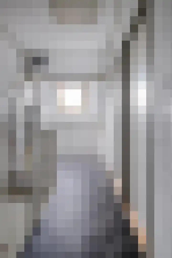 Boegspriet 2 Veenendaal thumbnail 31