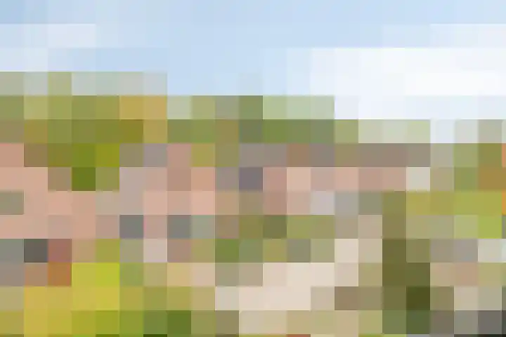 Boegspriet 2 Veenendaal thumbnail 34
