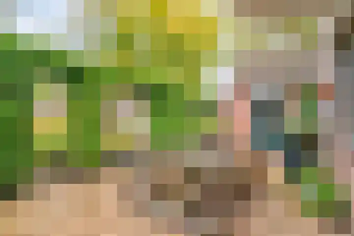Boegspriet 2 Veenendaal thumbnail 38