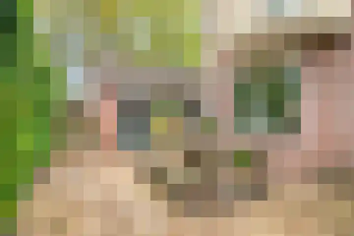 Boegspriet 2 Veenendaal thumbnail 39