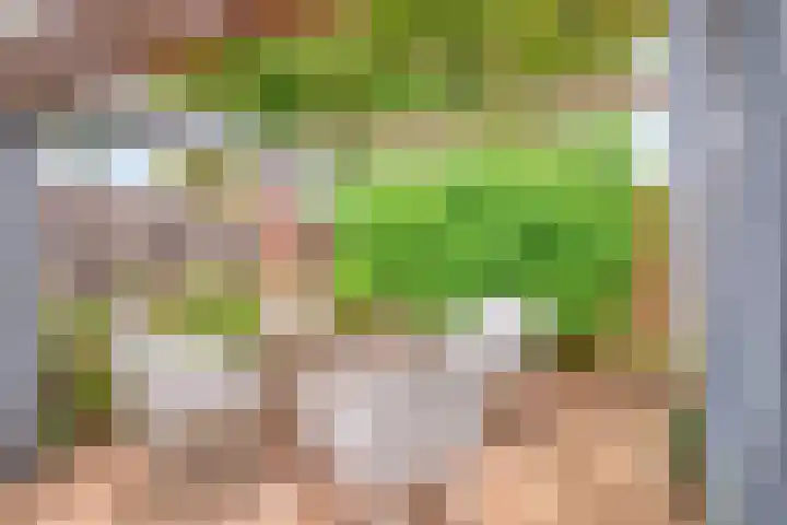 Boegspriet 2 Veenendaal thumbnail 42