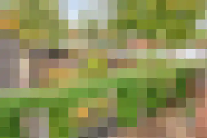 Boegspriet 2 Veenendaal thumbnail 45