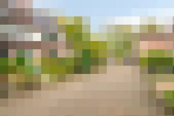 Boegspriet 2 Veenendaal thumbnail 46
