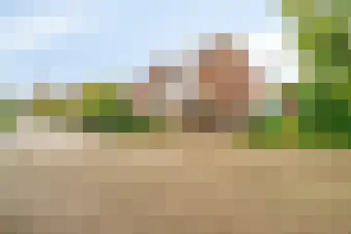 Boegspriet 2 Veenendaal thumbnail 48