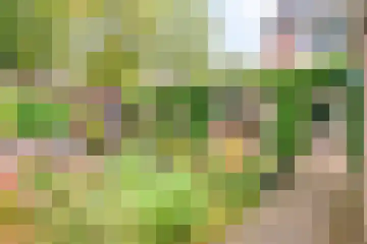 Boegspriet 2 Veenendaal thumbnail 5