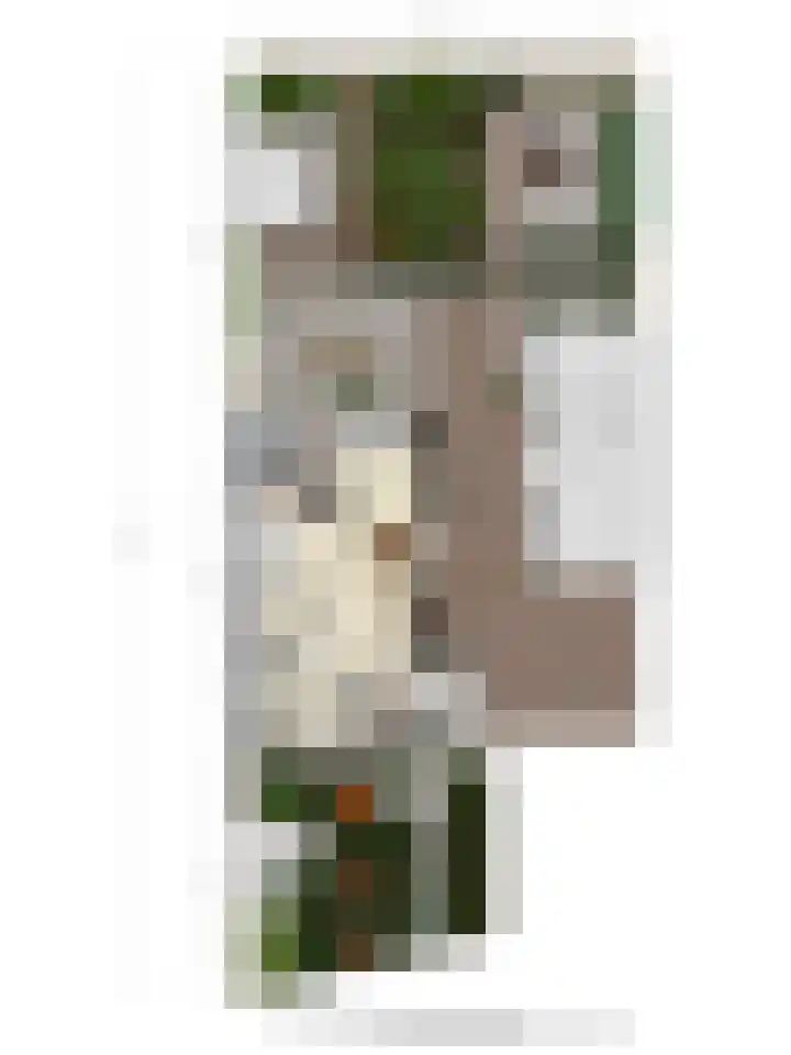 Boegspriet 2 Veenendaal thumbnail 56