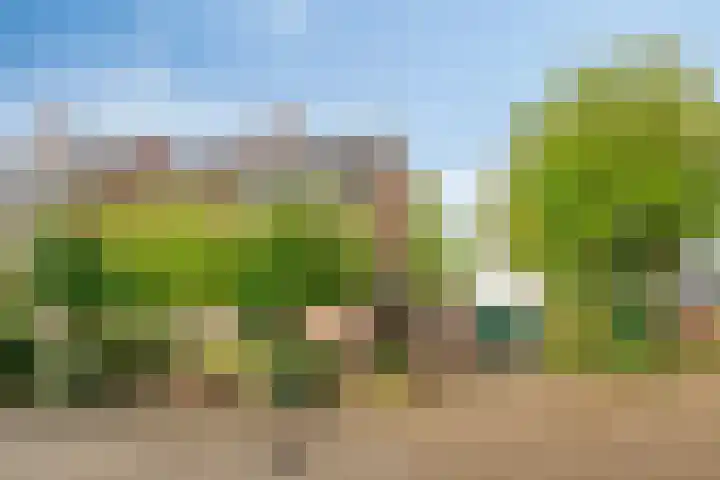 Boegspriet 2 Veenendaal thumbnail 6