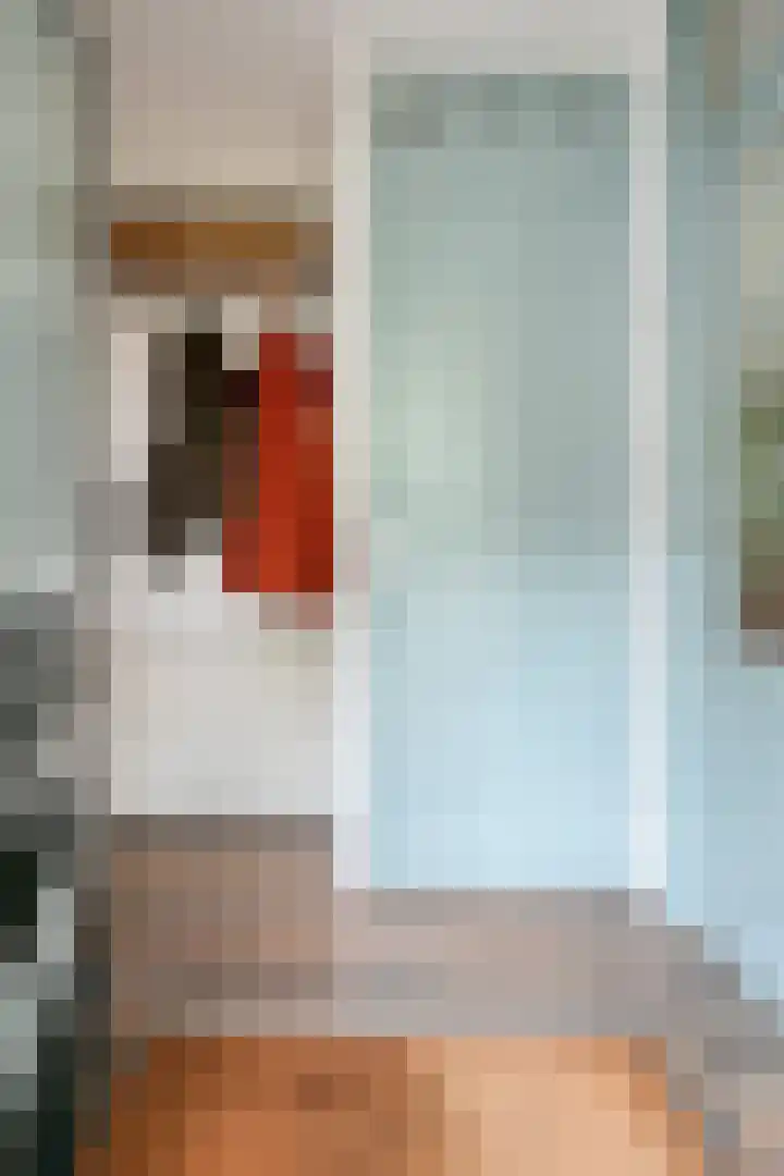 Boegspriet 2 Veenendaal thumbnail 8